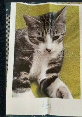 chat 3