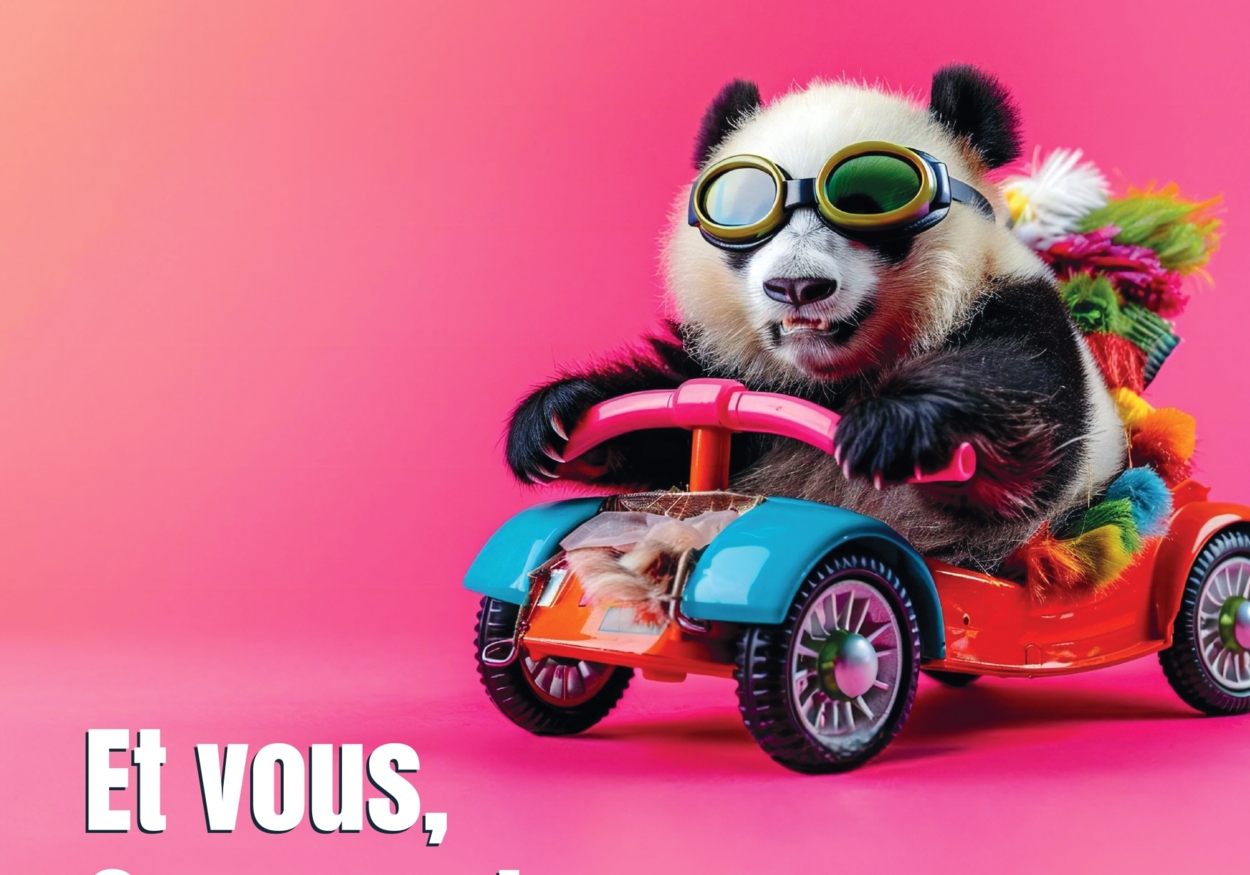 Questionnaire mobilité